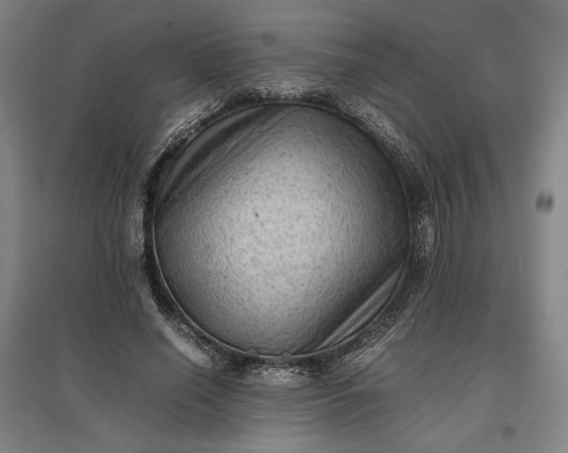 X0000096940638200802221321