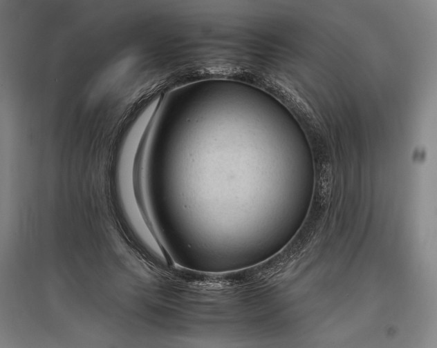 X0000096940639200802221321