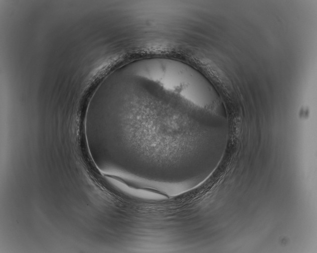 X0000096940640200802221321