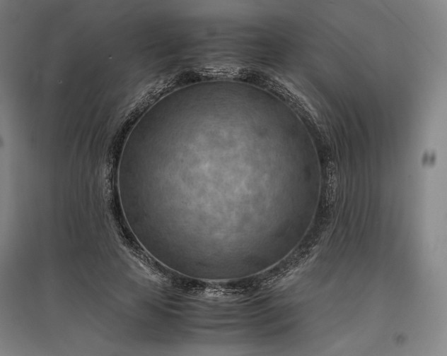 X0000096940641200802221321