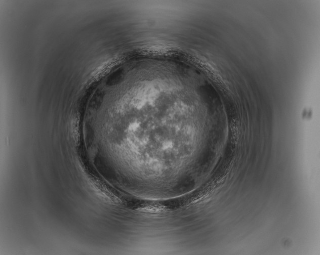 X0000096940642200802221321