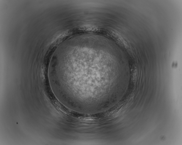 X0000096940643200802221321