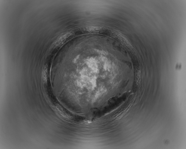 X0000096940644200802221321