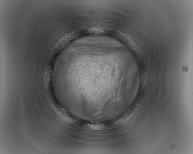 X0000096940645200802221321