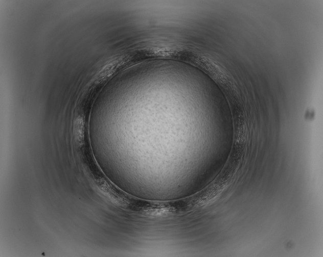 X0000096940646200802221321