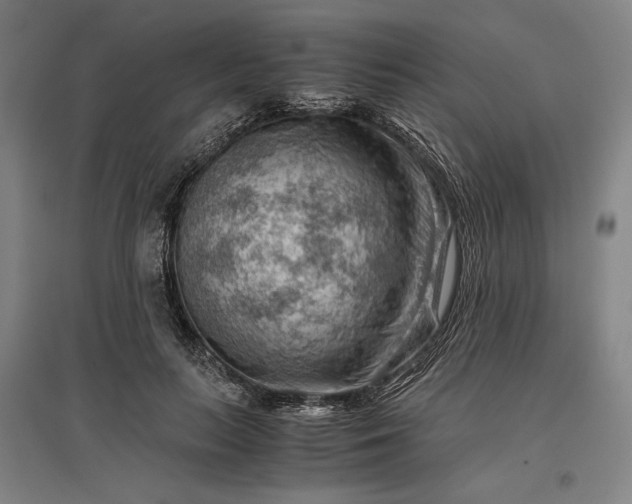 X0000096940647200802221321