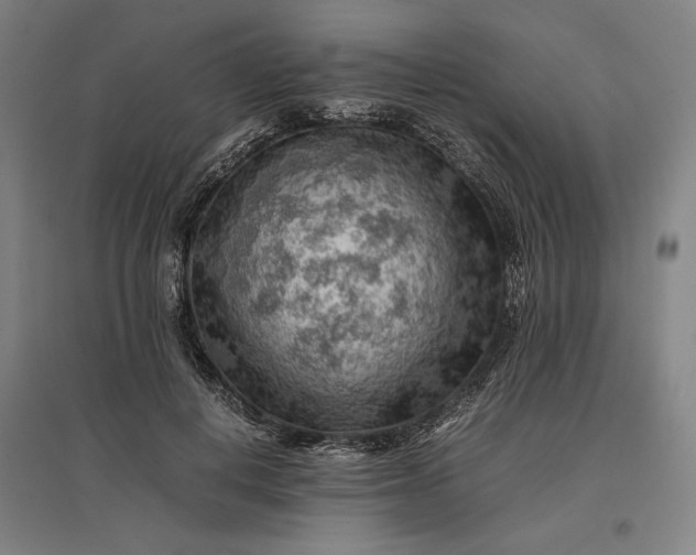 X0000096940648200802221321