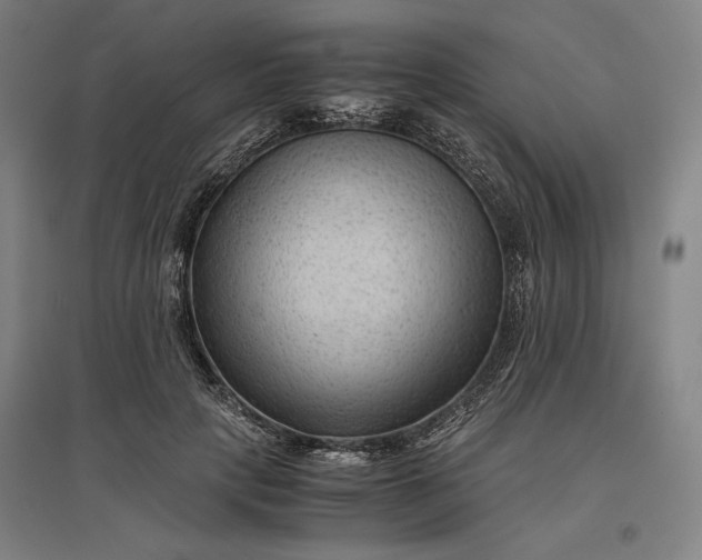 X0000096940649200802221321