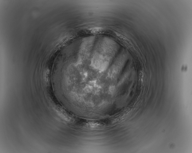 X0000096940650200802221321