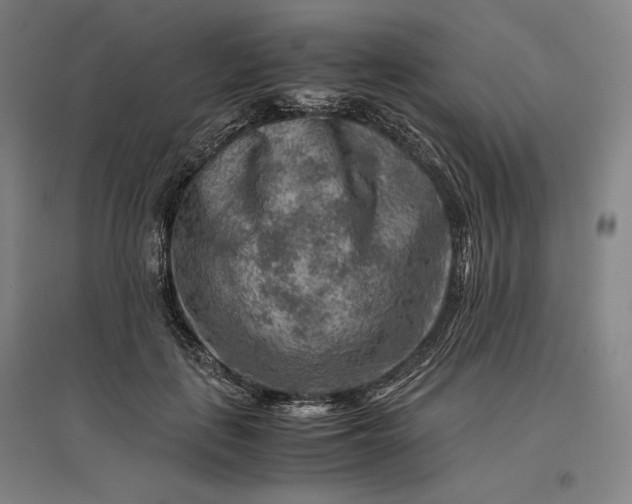 X0000096940651200802221321