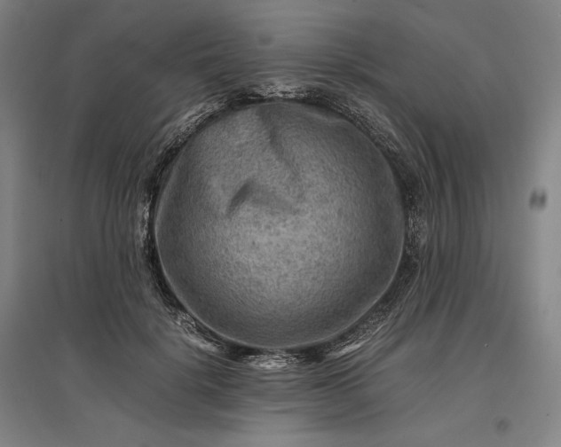 X0000096940652200802221321