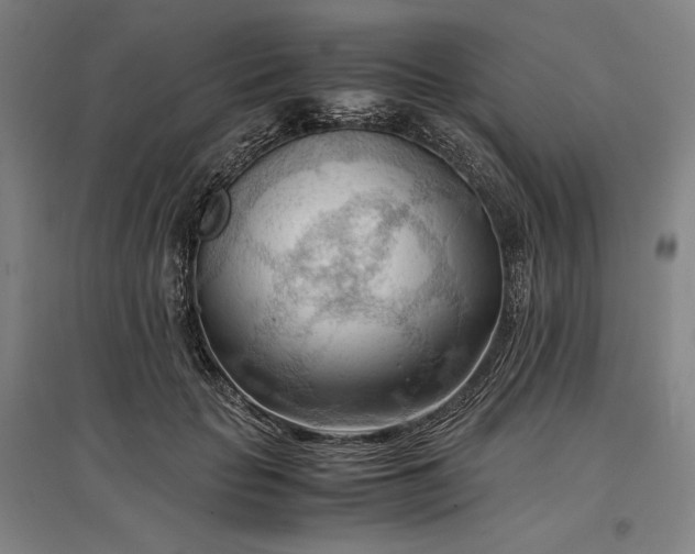 X0000096940653200802221321