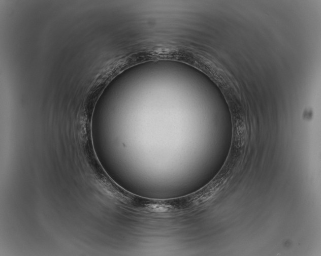 X0000096940654200802221321