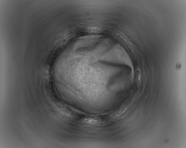 X0000096940655200802221321