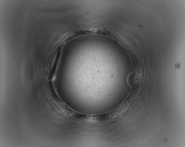 X0000096940656200802221321