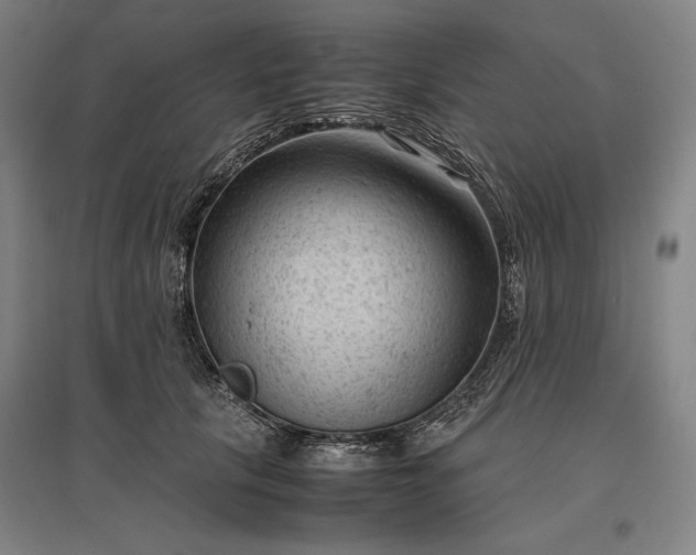 X0000096940657200802221321