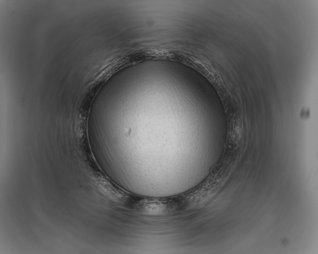 X0000096940658200802221321