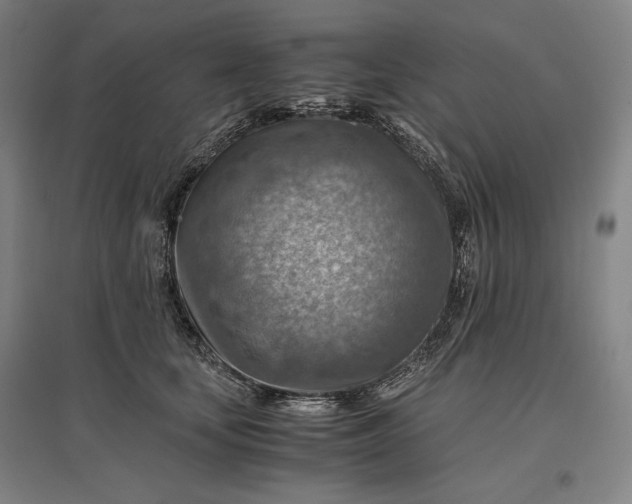 X0000096940659200802221321