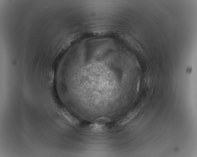 X0000096940660200802221321