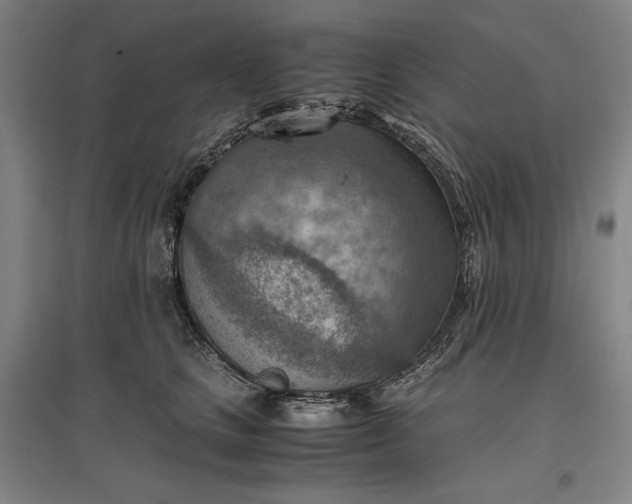 X0000096940661200802221321