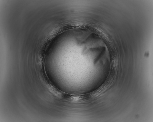 X0000096940662200802221321