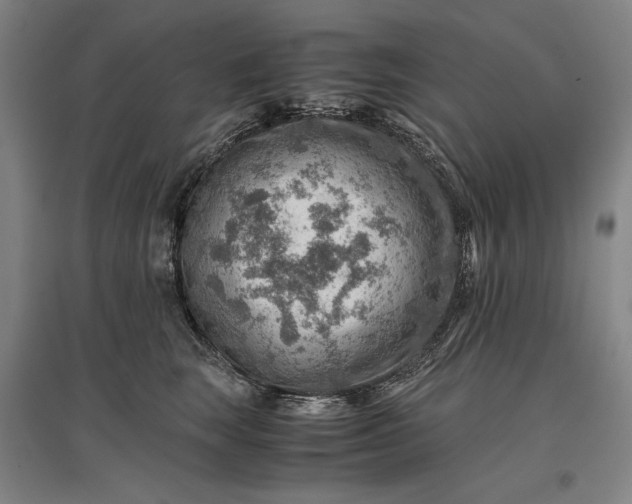 X0000096940663200802221321