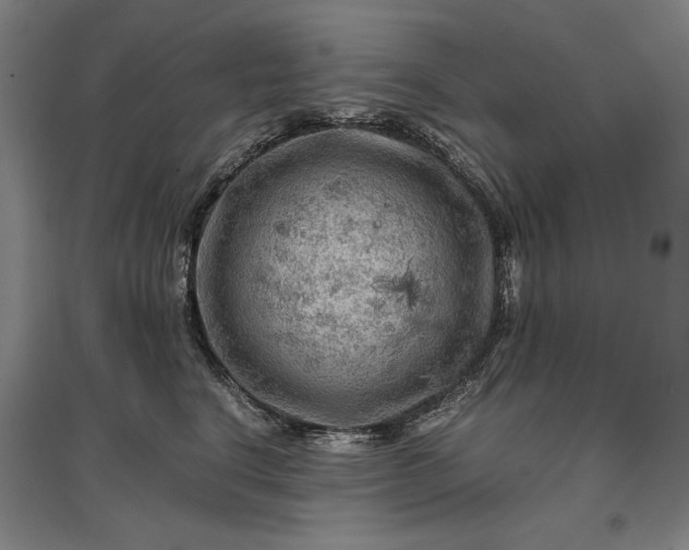 X0000096940664200802221321