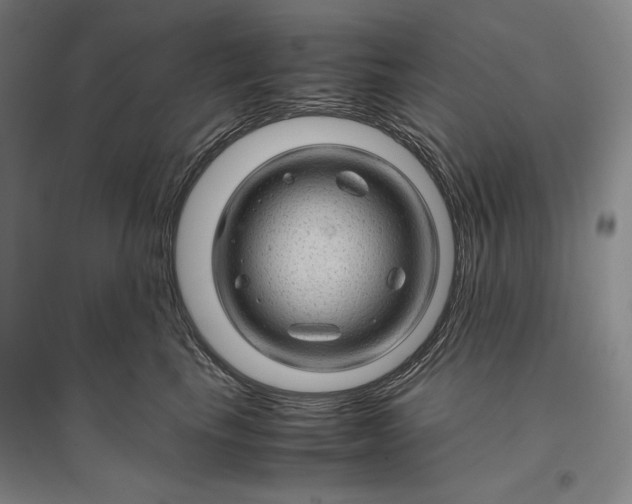 X0000096940665200802221321