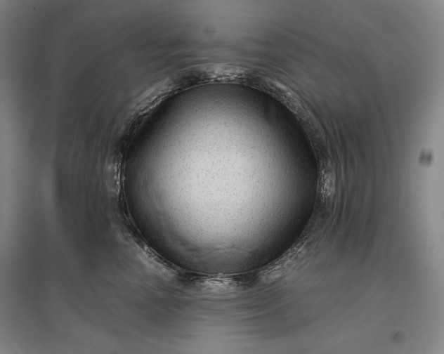 X0000096940666200802221321