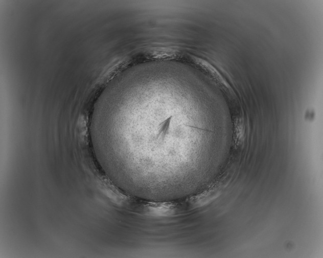 X0000096940667200802221321