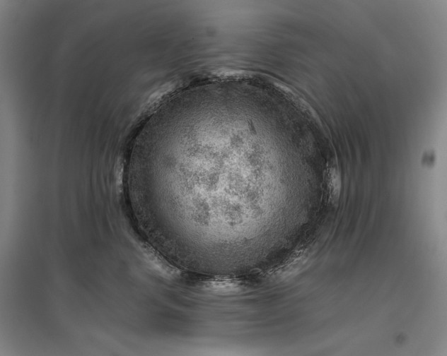 X0000096940668200802221321