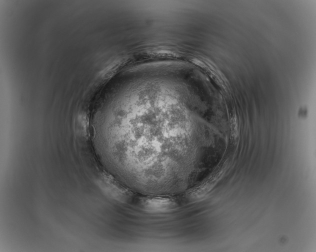 X0000096940669200802221321