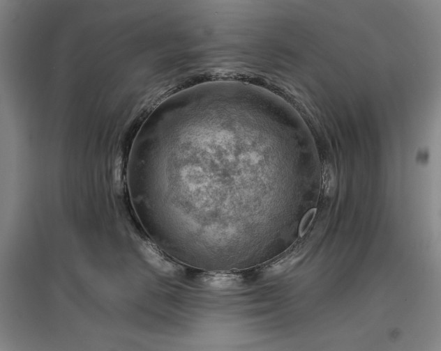 X0000096940670200802221321