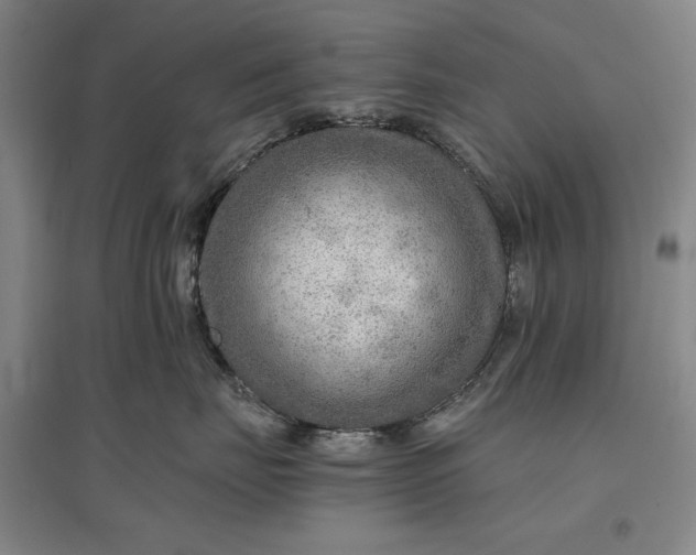 X0000096940671200802221321