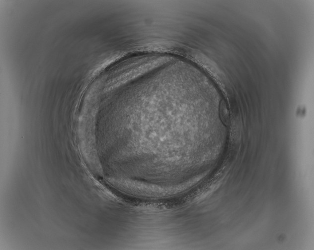 X0000096940673200802221320