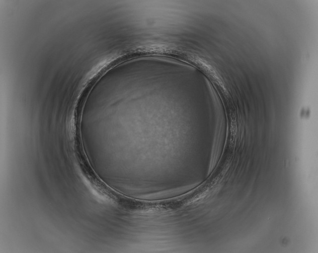 X0000096940674200802221320