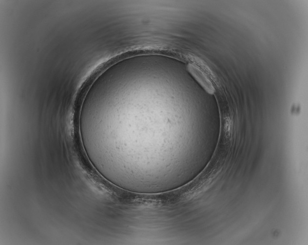 X0000096940676200802221320