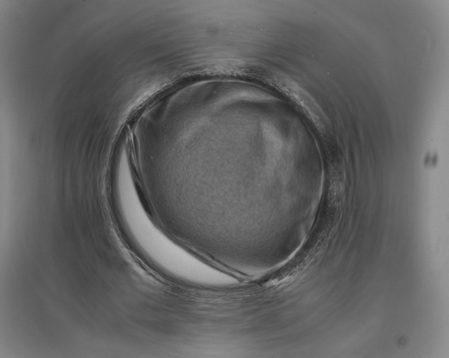 X0000096940677200802221320