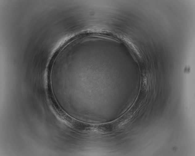 X0000096940678200802221320