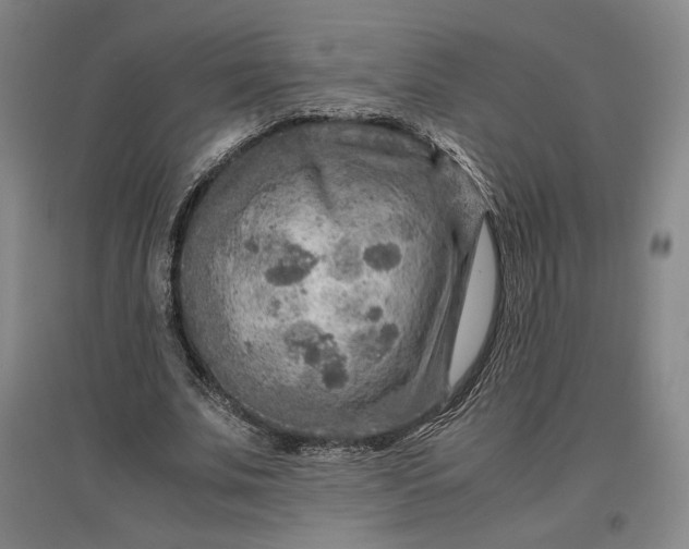 X0000096940679200802221320