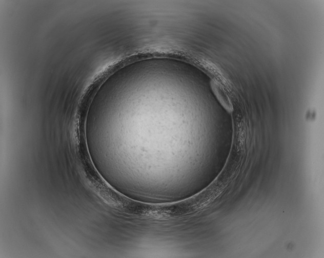 X0000096940680200802221320