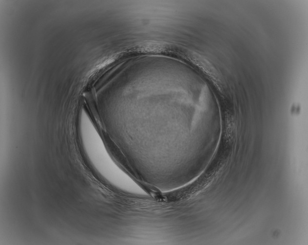 X0000096940681200802221320