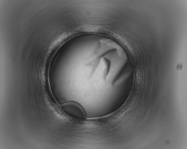 X0000096940682200802221320