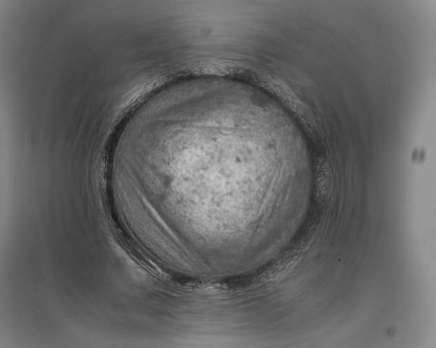 X0000096940683200802221320