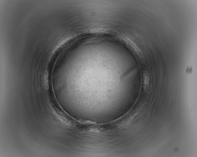 X0000096940684200802221320