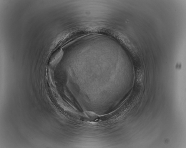 X0000096940685200802221320