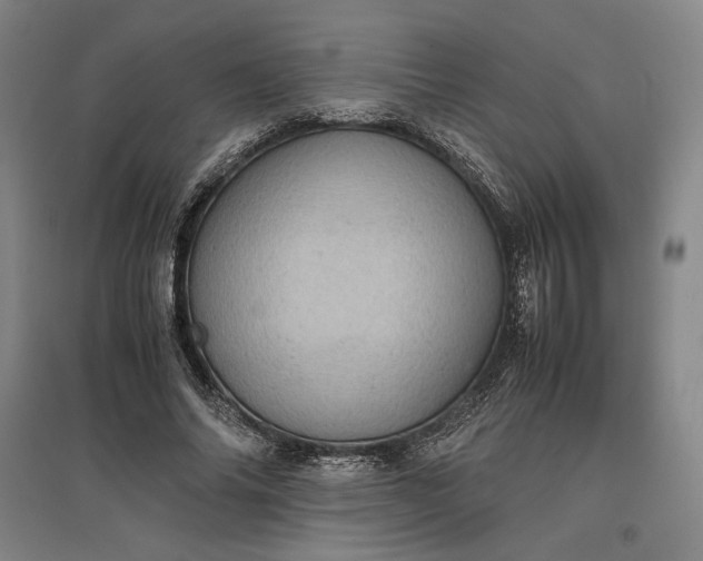 X0000096940686200802221320