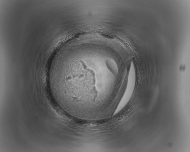 X0000096940687200802221320