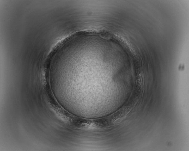 X0000096940688200802221320