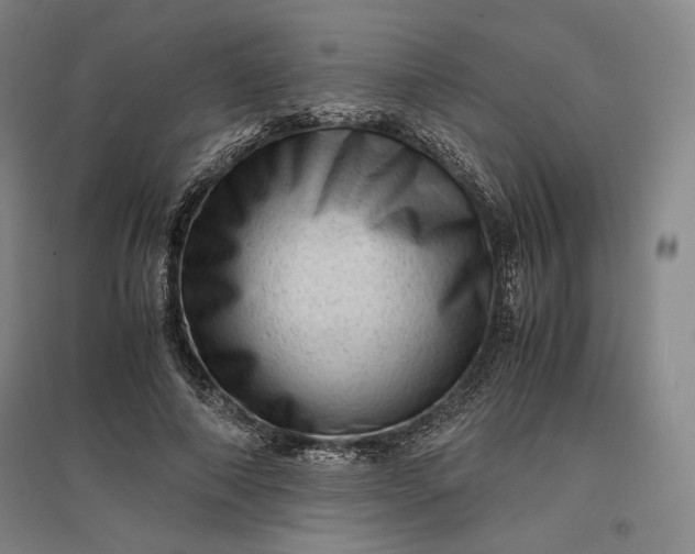 X0000096940690200802221320